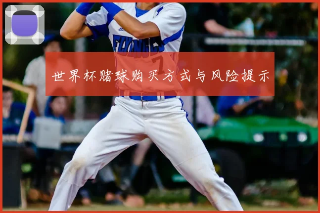 世界杯赌球购买方式与风险提示