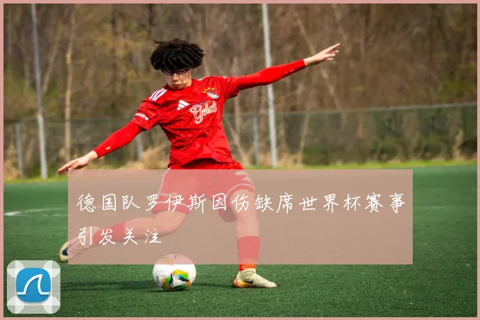德国队罗伊斯因伤缺席世界杯赛事引发关注