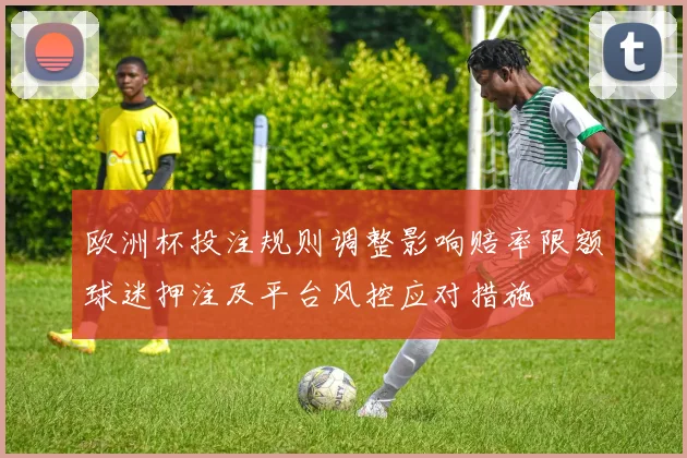 欧洲杯投注规则调整影响赔率限额球迷押注及平台风控应对措施